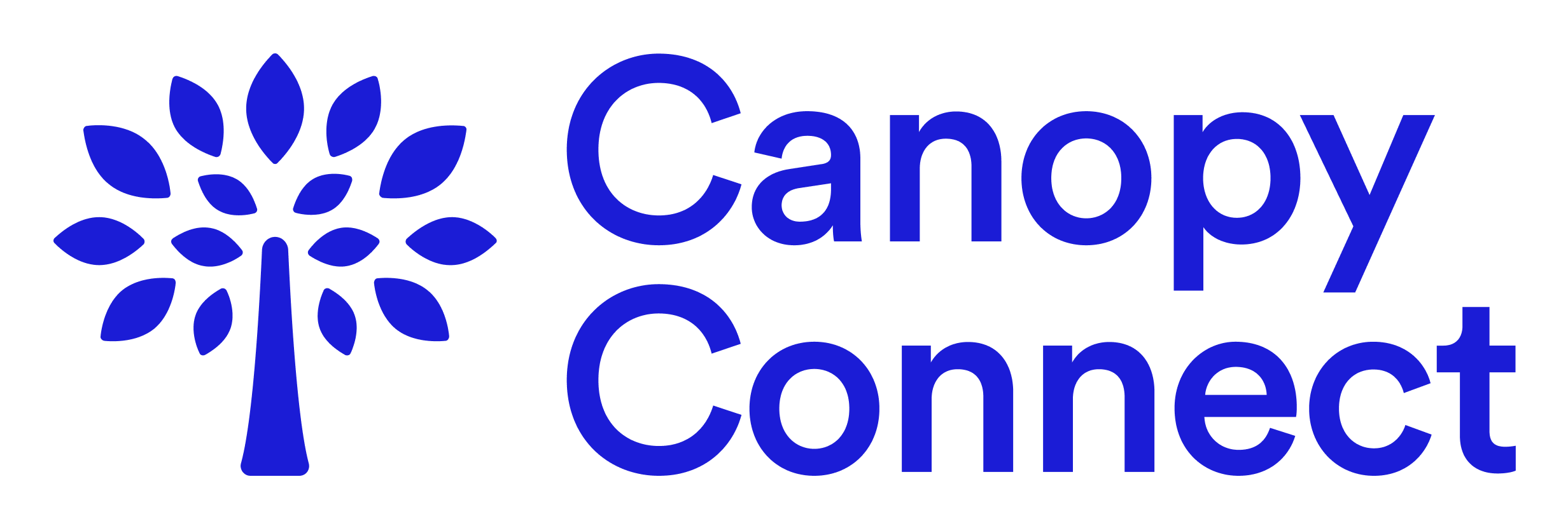 19328187-canopy-connect-logo-lockup-2464x828